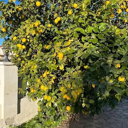 Casa Felic 12 Personen, Familiehuis Met Hottub Tatil Evi